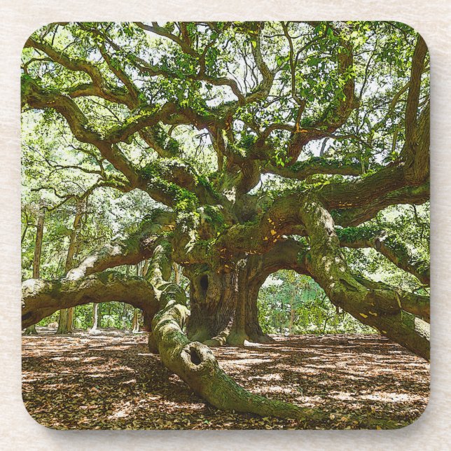 Strong And Bold Coaster (Front)