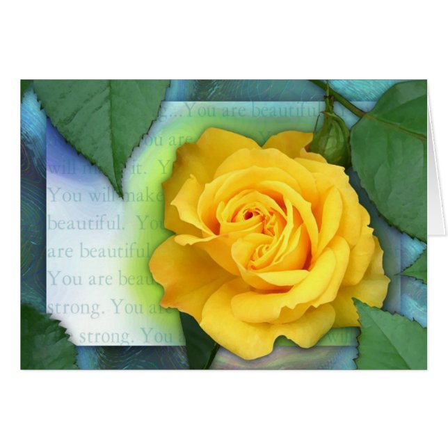 Strong, Beautiful Fighter! (Front Horizontal)