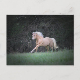 Strong Desire Postcard