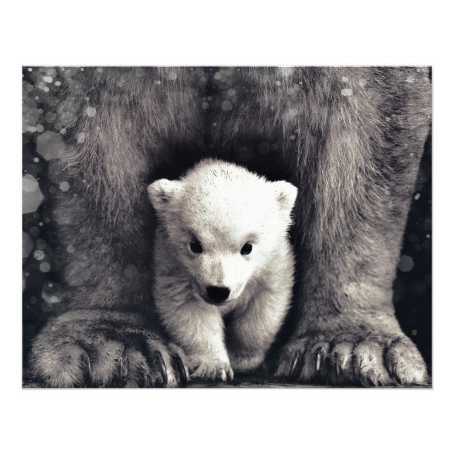 Strong Like Mamma Polar Bear Cub Photo Print (Front)