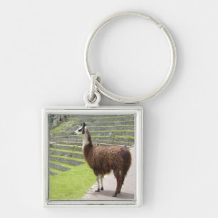 strong llama peru keychain