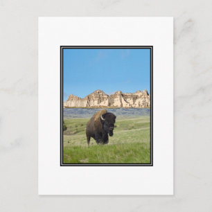 STRONGER THAN IT POSTCARD