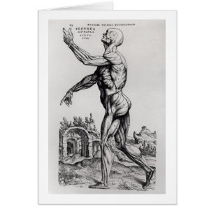 Structure de musculature d'un homme (b/w négatif