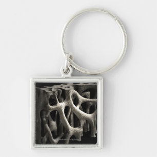 Structure of a bone with osteoporosis keychain
