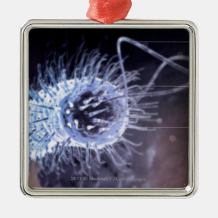 Structure of a helicobacter pylori cell metal ornament