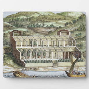 Structure of a hothouse, from 'Hesperides' by Giov Plaque