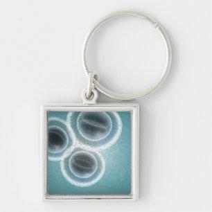 Structure of MRSA Keychain