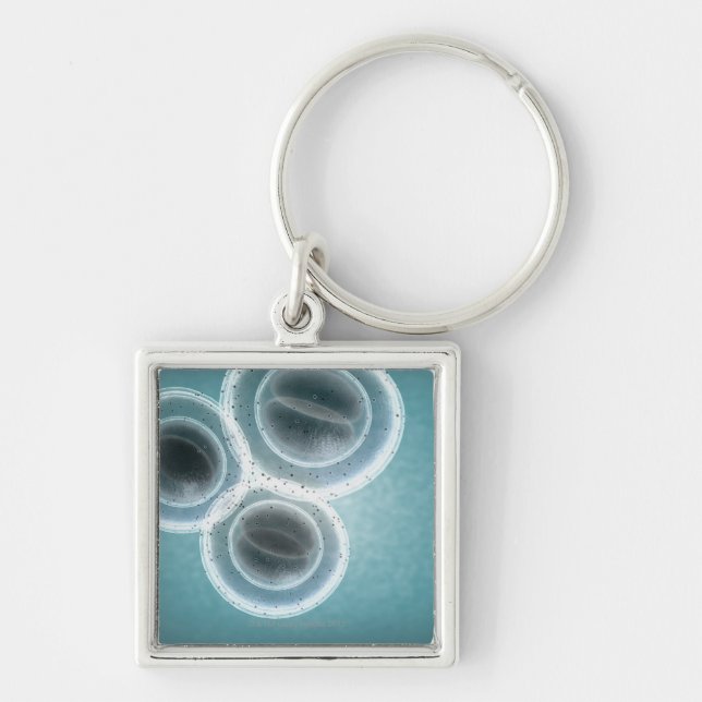 Structure of MRSA Keychain (Front)