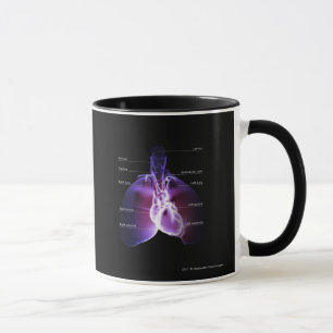Structure of the heart and lungs mug