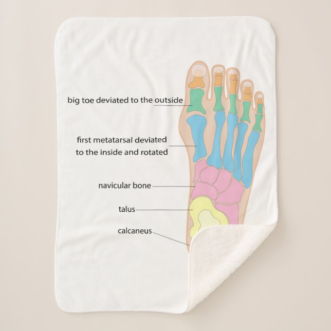 Structure of the human foot sherpa blanket (Front)