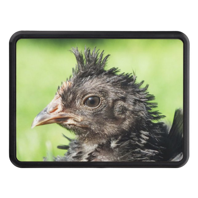 Strupp fun little chicken chick trailer hitch cover (Front)