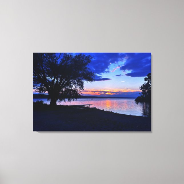 STUART PARK CAYUGA LAKE CANVAS PRINT (Front)
