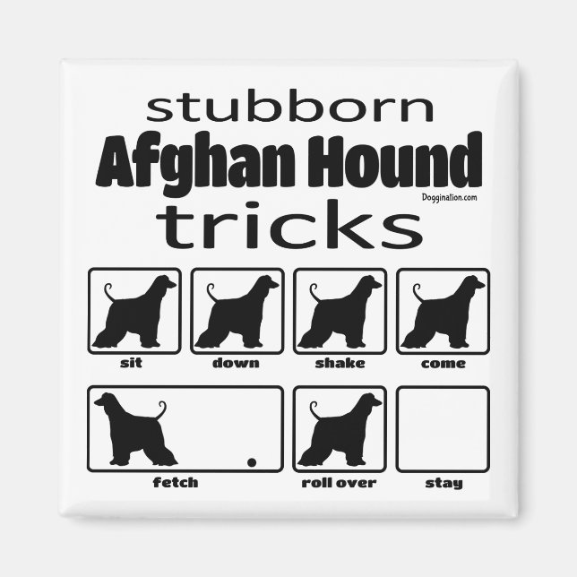 Stubborn Afghan Hound Tricks Magnet (Front)