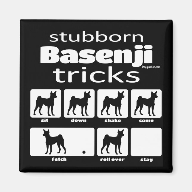 Stubborn Basenji Tricks Magnet (Front)