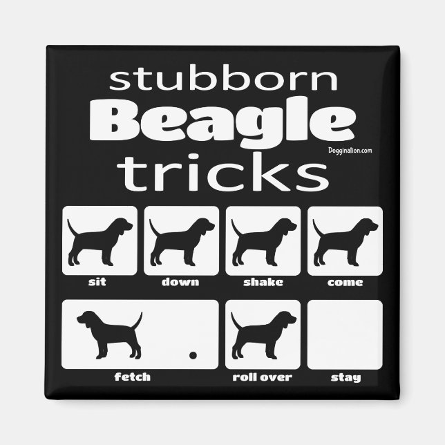 Stubborn Beagle Tricks Magnet (Front)