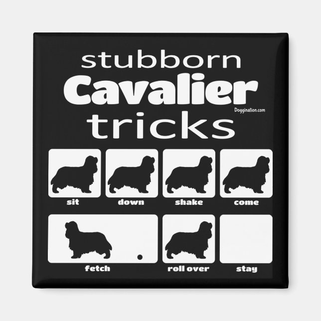 Stubborn Cavalier Tricks Magnet (Front)