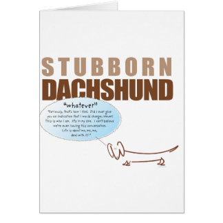 Stubborn Dachshund..WHATEVER !