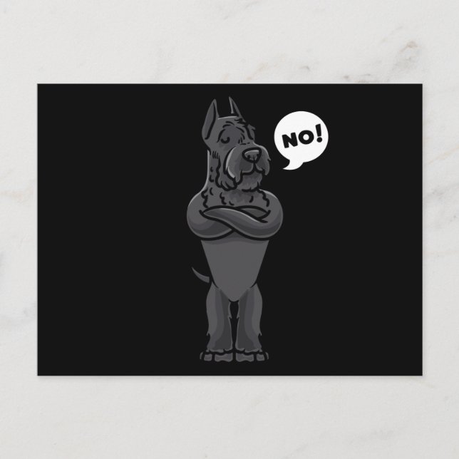 Stubborn Giant Schnauzer Postcard (Front)