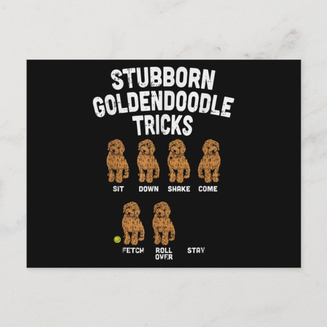 Stubborn Goldendoodle Tricks Funny Dog Trainer Mom Postcard (Front)