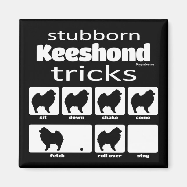 Stubborn Keeshond Tricks Magnet (Front)