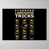 Stubborn Labrador Dog Tricks Funny