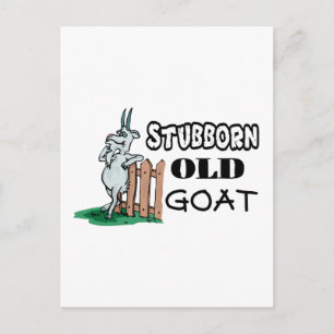 Stubborn Old Goat Postcard
