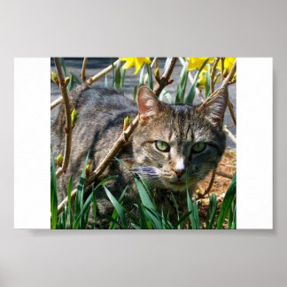Stubby Poster