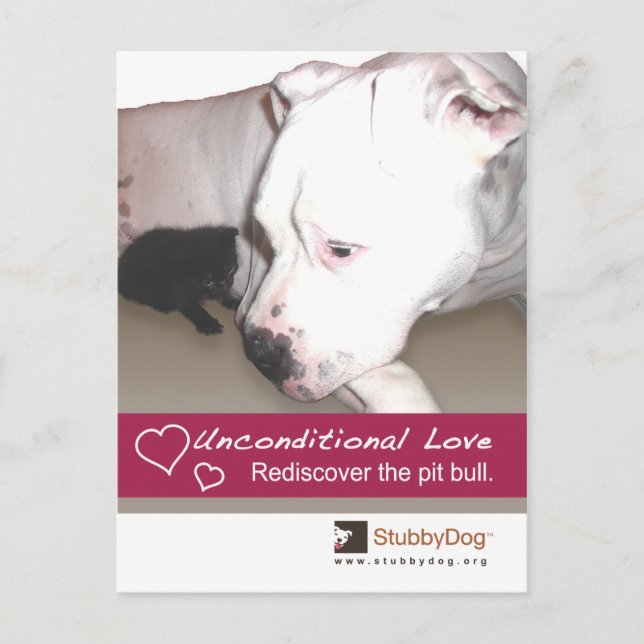 StubbyDog Valentine #3 Holiday Postcard (Front)