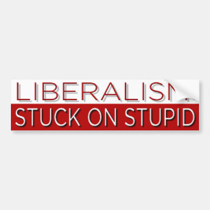 Stuck on Stupid Bumper Sticker