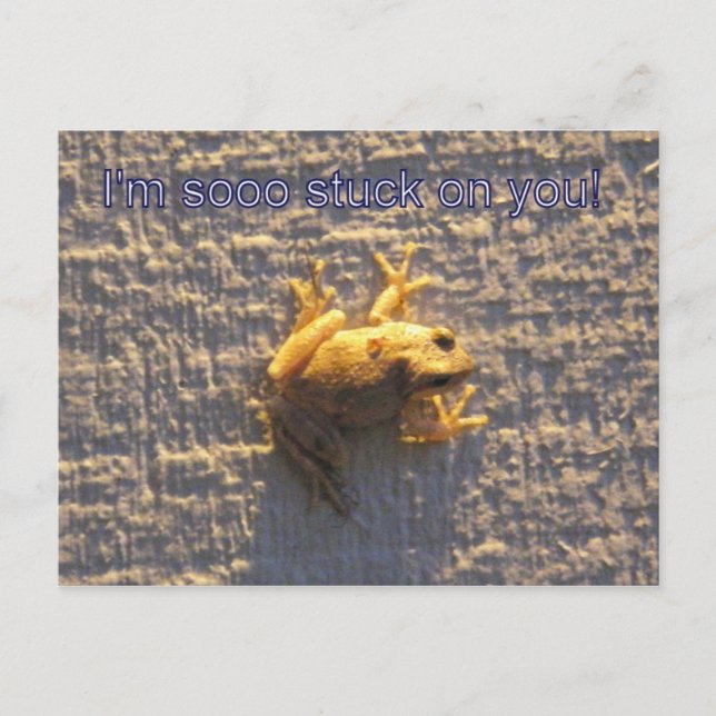 Stuck On You Postcard (Front)