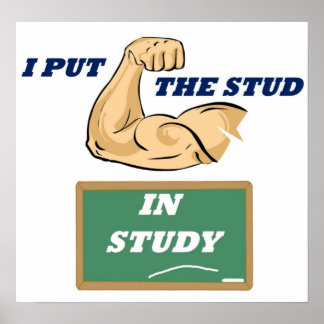 Stud Study Full Poster