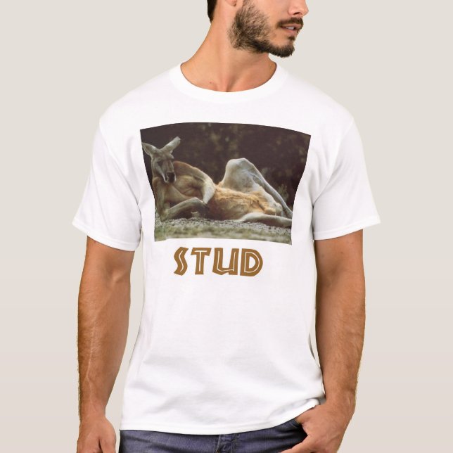 stud T-Shirt (Front)