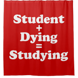 Student Plus Dying Equals Studying