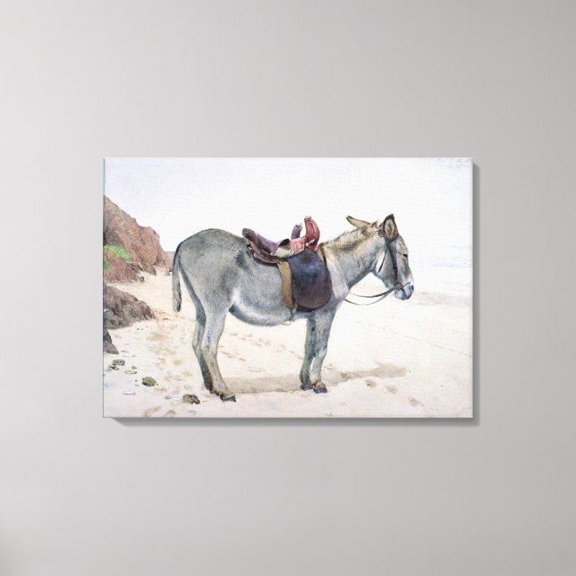 Studies of Animals Canvas Print (Front)
