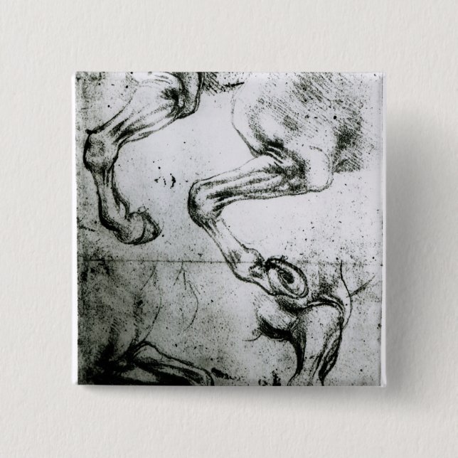 Studies of Horses legs 2 Inch Square Button (Front)