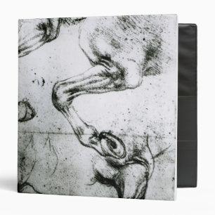 Studies of Horses legs Binder