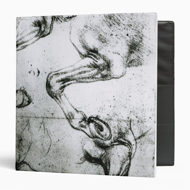 Studies of Horses legs Binder (Front/Inside)