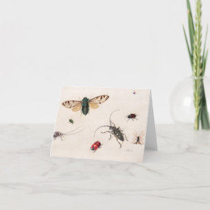 Studies of Insects by Johannes Bronckhorst  Thank You Card