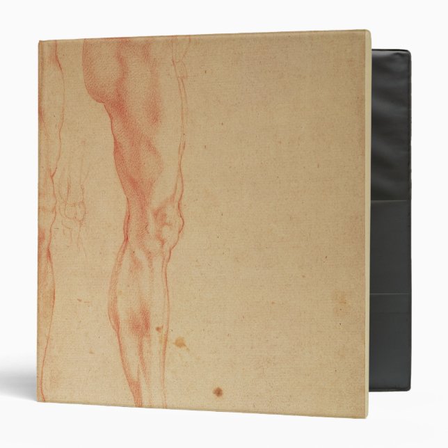 Studies of Legs and Arms Binder (Front/Inside)