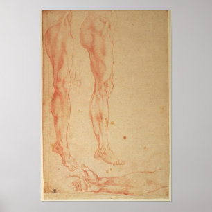 Studies of Legs and Arms Poster
