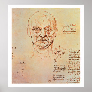 Studies of the Proportions of the Face and Eye, 14 Poster