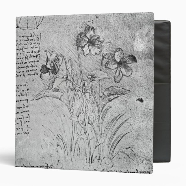 Studies of Violas Binder (Front/Inside)