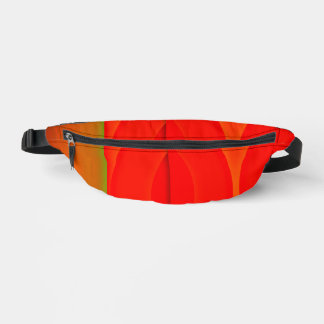 Studio16 pouch fanny pack