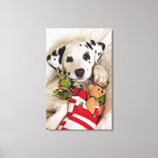 studio canvas print (Front)