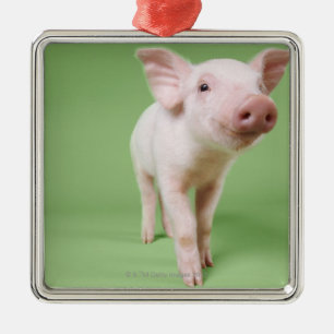 Studio Cut Out of a Piglet Standing Metal Ornament