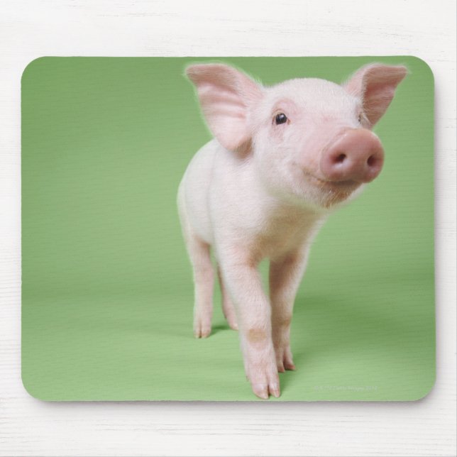 Studio Cut Out of a Piglet Standing Mouse Pad (Front)