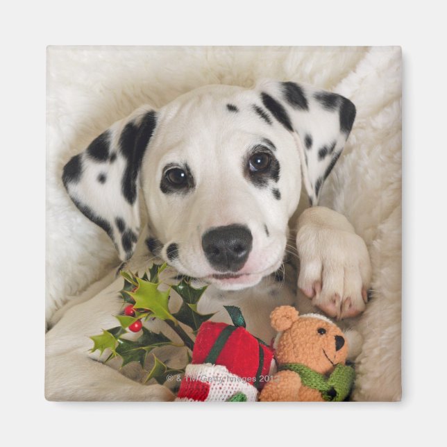 studio magnet (Front)