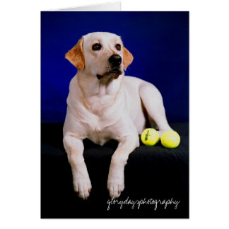 studio marin, glorydaysphotography