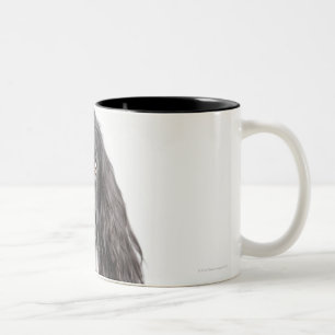 Studio portrait of cocker spaniel Two-Tone coffee mug