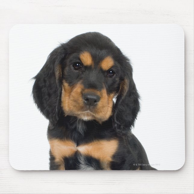 Studio portrait of Rottweiler puppy Mouse Pad (Front)